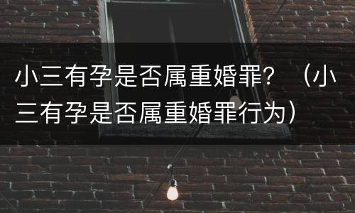 小三有孕是否属重婚罪？（小三有孕是否属重婚罪行为）