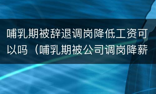 哺乳期被辞退调岗降低工资可以吗（哺乳期被公司调岗降薪怎么办）