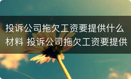 投诉公司拖欠工资要提供什么材料 投诉公司拖欠工资要提供什么材料给他