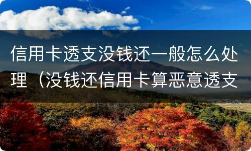 信用卡透支没钱还一般怎么处理（没钱还信用卡算恶意透支吗）