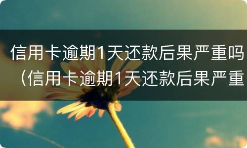 信用卡逾期1天还款后果严重吗（信用卡逾期1天还款后果严重吗为什么）