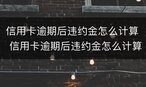 信用卡逾期后违约金怎么计算 信用卡逾期后违约金怎么计算的