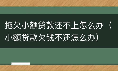 拖欠小额贷款还不上怎么办（小额贷款欠钱不还怎么办）