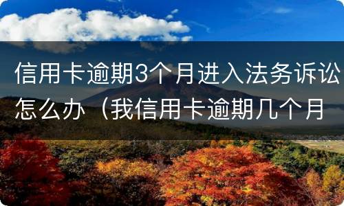 信用卡逾期3个月进入法务诉讼怎么办（我信用卡逾期几个月了他们说要告我上法院）