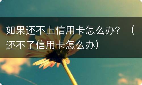 如果还不上信用卡怎么办？（还不了信用卡怎么办）
