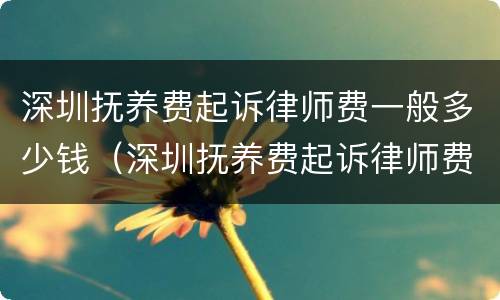深圳抚养费起诉律师费一般多少钱（深圳抚养费起诉律师费一般多少钱啊）