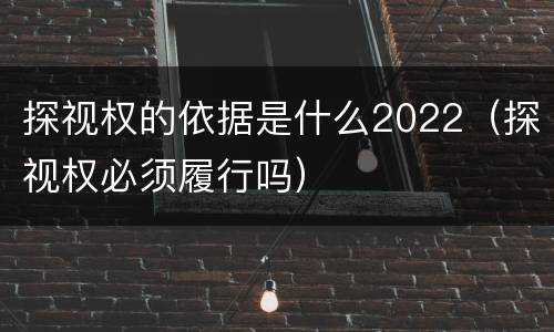 探视权的依据是什么2022（探视权必须履行吗）
