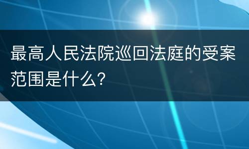 最高人民法院巡回法庭的受案范围是什么？