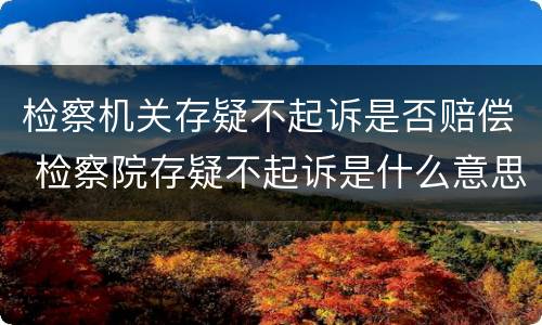 检察机关存疑不起诉是否赔偿 检察院存疑不起诉是什么意思