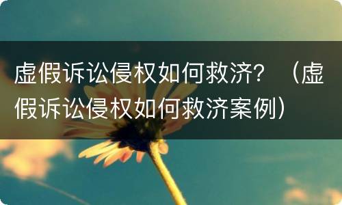 虚假诉讼侵权如何救济？（虚假诉讼侵权如何救济案例）