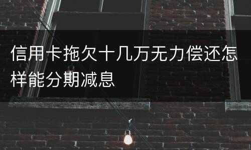 信用卡拖欠十几万无力偿还怎样能分期减息