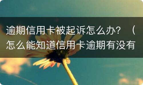 逾期信用卡被起诉怎么办？（怎么能知道信用卡逾期有没有被起诉）