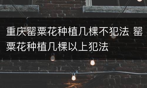 重庆罂粟花种植几棵不犯法 罂粟花种植几棵以上犯法