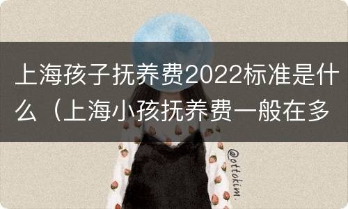 上海孩子抚养费2022标准是什么（上海小孩抚养费一般在多少2019）