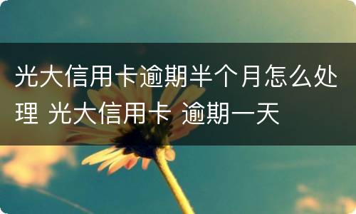 光大信用卡逾期半个月怎么处理 光大信用卡 逾期一天
