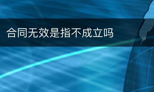 合同无效是指不成立吗