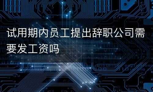 试用期内员工提出辞职公司需要发工资吗