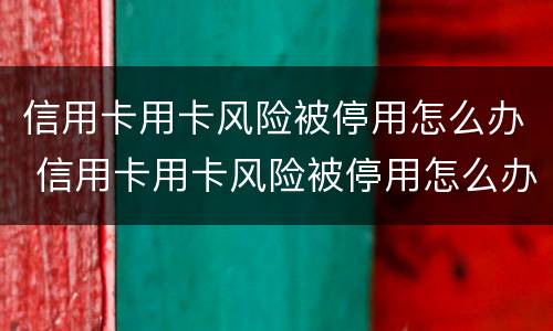信用卡用卡风险被停用怎么办 信用卡用卡风险被停用怎么办理