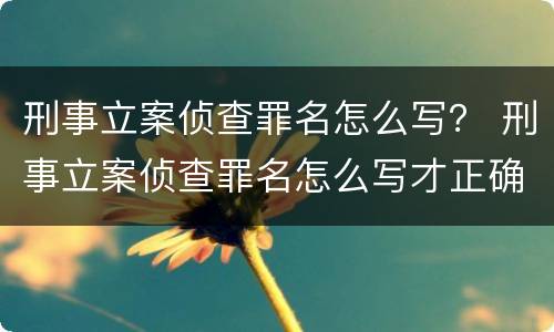 刑事立案侦查罪名怎么写？ 刑事立案侦查罪名怎么写才正确
