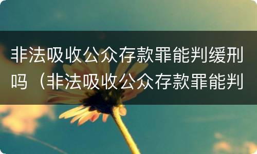 非法吸收公众存款罪能判缓刑吗（非法吸收公众存款罪能判缓刑吗知乎）