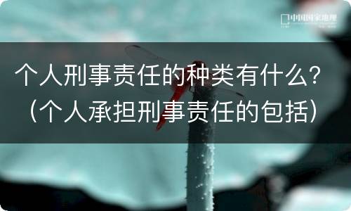 个人刑事责任的种类有什么？（个人承担刑事责任的包括）