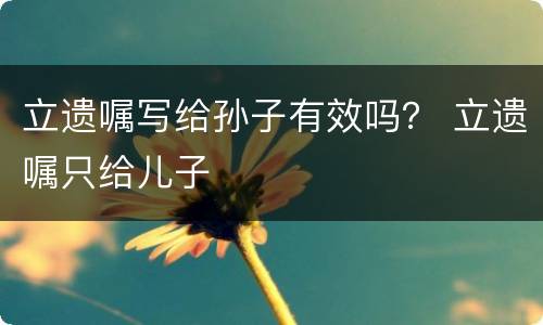 立遗嘱写给孙子有效吗？ 立遗嘱只给儿子