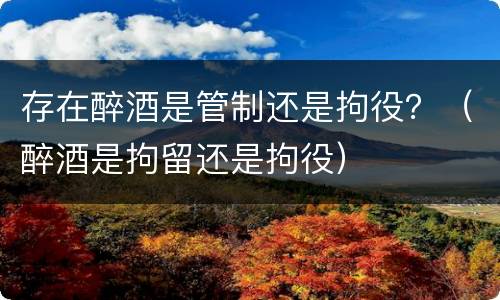存在醉酒是管制还是拘役？（醉酒是拘留还是拘役）