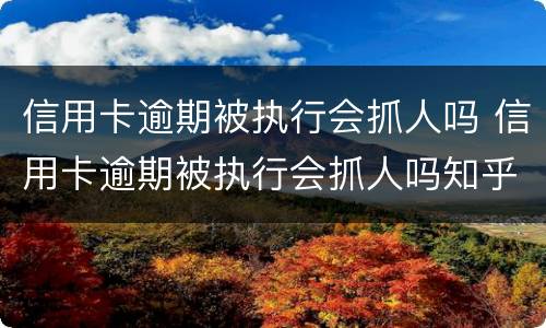 信用卡逾期被执行会抓人吗 信用卡逾期被执行会抓人吗知乎