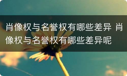 肖像权与名誉权有哪些差异 肖像权与名誉权有哪些差异呢