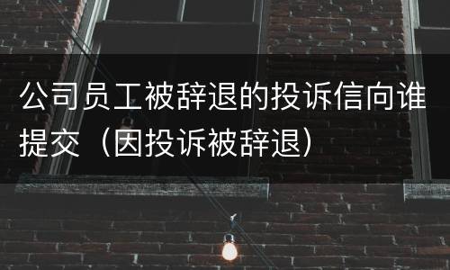 公司员工被辞退的投诉信向谁提交（因投诉被辞退）