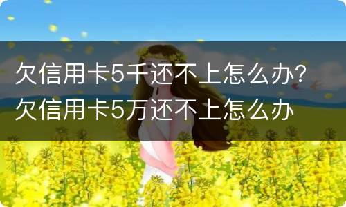 欠信用卡5千还不上怎么办？ 欠信用卡5万还不上怎么办