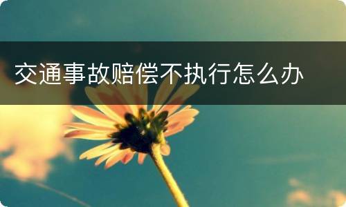 交通事故赔偿不执行怎么办
