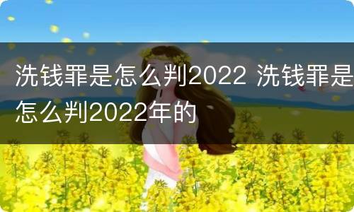 洗钱罪是怎么判2022 洗钱罪是怎么判2022年的