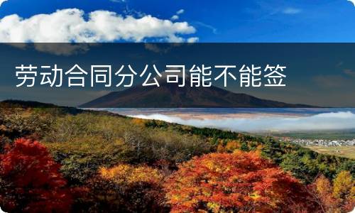 劳动合同分公司能不能签