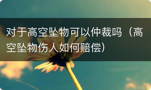 对于高空坠物可以仲裁吗（高空坠物伤人如何赔偿）