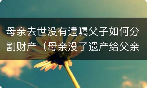 母亲去世没有遗嘱父子如何分割财产（母亲没了遗产给父亲和儿子）