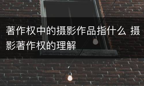 著作权中的摄影作品指什么 摄影著作权的理解