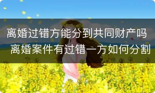 离婚过错方能分到共同财产吗 离婚案件有过错一方如何分割财产