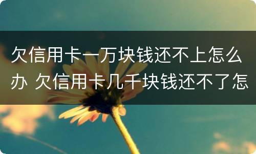 欠信用卡一万块钱还不上怎么办 欠信用卡几千块钱还不了怎么处理