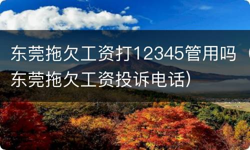 东莞拖欠工资打12345管用吗（东莞拖欠工资投诉电话）