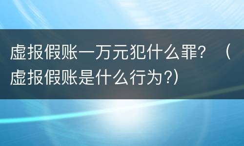 虚报假账一万元犯什么罪？（虚报假账是什么行为?）