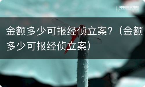 金额多少可报经侦立案?（金额多少可报经侦立案）