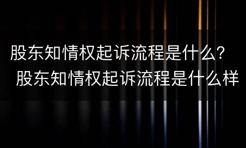 股东知情权起诉流程是什么？ 股东知情权起诉流程是什么样的