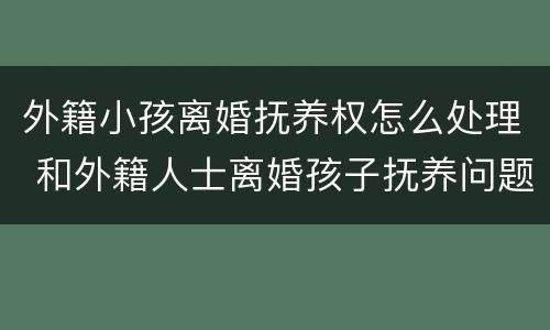 外籍小孩离婚抚养权怎么处理 和外籍人士离婚孩子抚养问题
