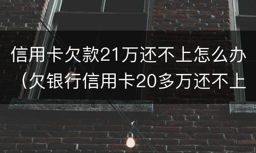 信用卡欠款21万还不上怎么办（欠银行信用卡20多万还不上咋办）