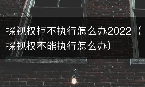 探视权拒不执行怎么办2022（探视权不能执行怎么办）