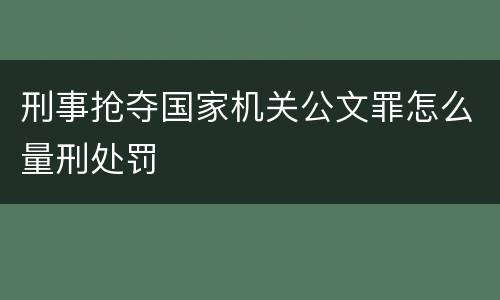 刑事抢夺国家机关公文罪怎么量刑处罚
