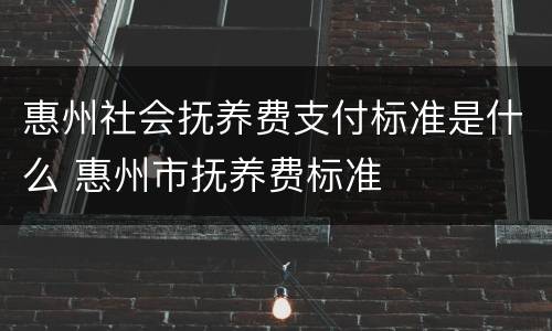 惠州社会抚养费支付标准是什么 惠州市抚养费标准