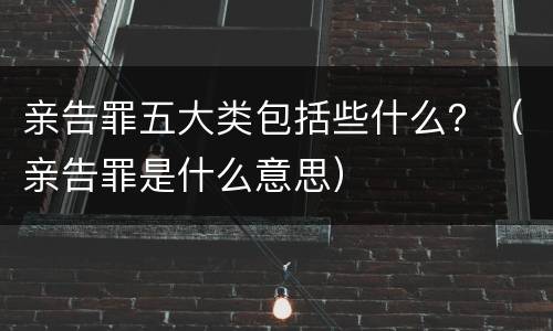 亲告罪五大类包括些什么？（亲告罪是什么意思）