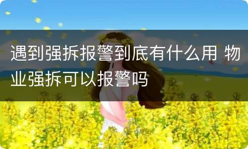 遇到强拆报警到底有什么用 物业强拆可以报警吗